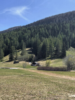 Ferienhaus im Goms, Wallis